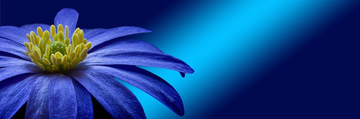 Kdoll101's profile banner image