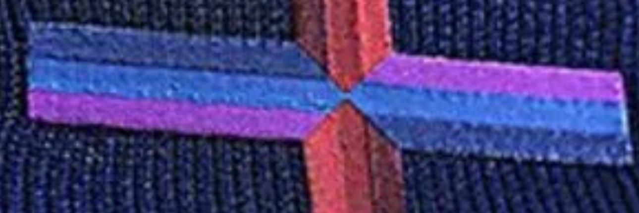 Welsh 🏴󠁧󠁢󠁷󠁬󠁳󠁿 banner