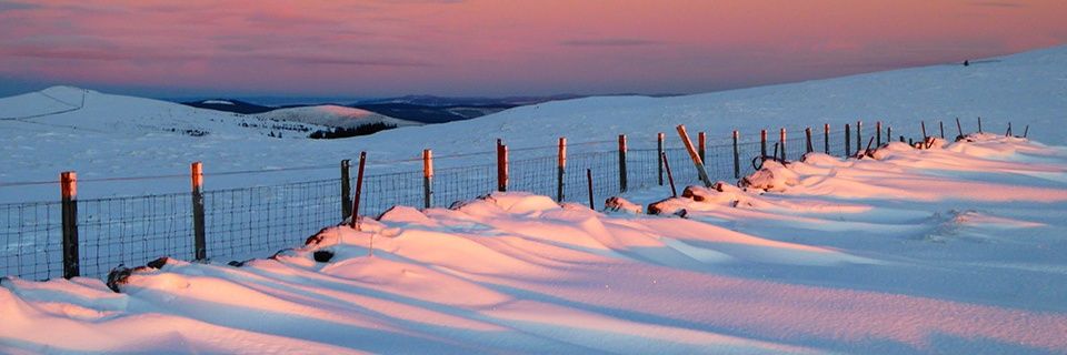 Sarah Best 🇺🇦 banner