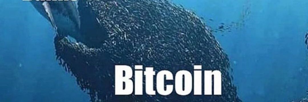 orobosa1000's profile banner image