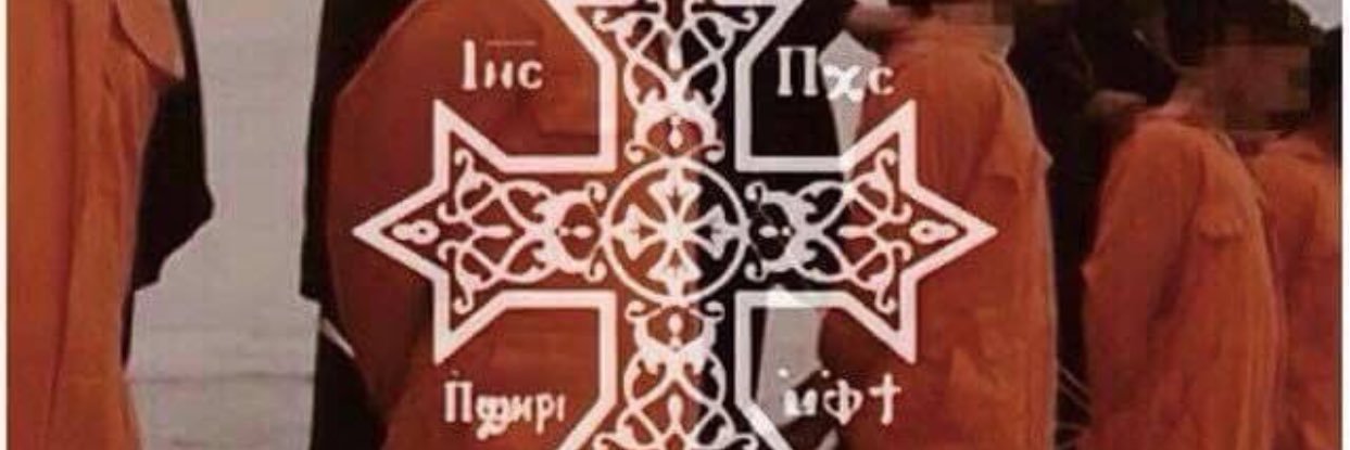 NTewfik's profile banner image