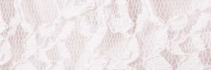 ponqerida's profile banner image