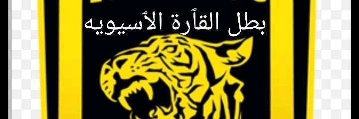 qrlzr's profile banner image