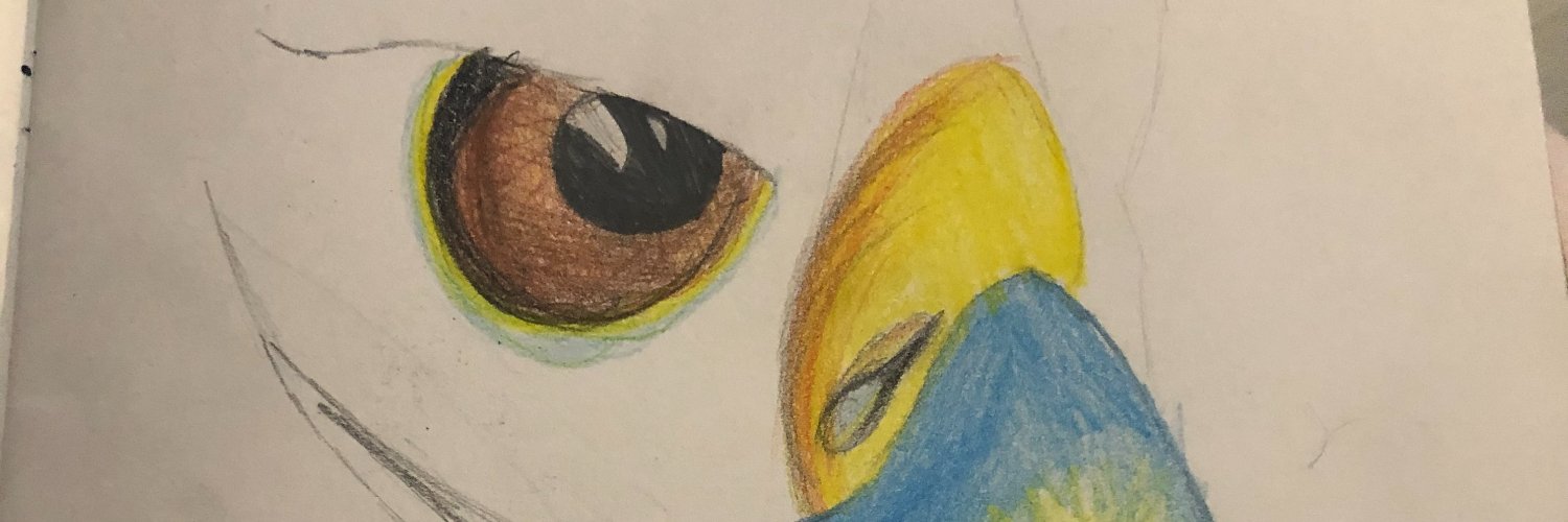 Claire H banner