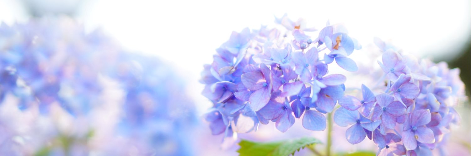 diask8's profile banner image