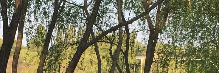 viaafeb's profile banner image