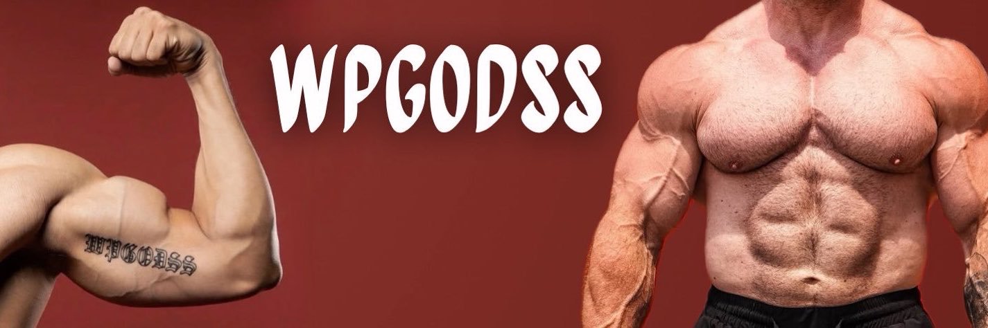 WPGODSS2's profile banner image