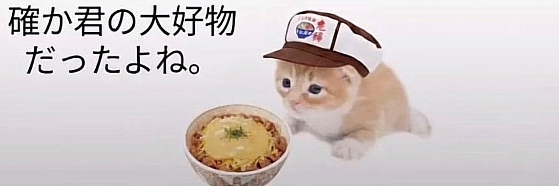 0poeq0's profile banner image