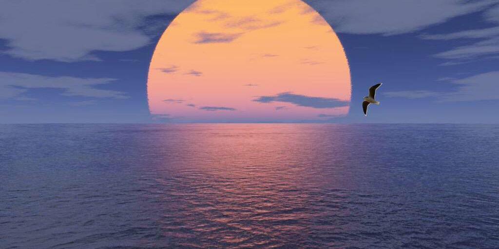 Mercedes G. Tenreiro banner