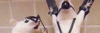 imeunsuu's profile banner image