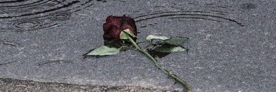 SisuYor's profile banner image