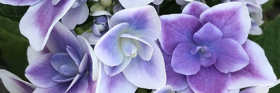 keilovechan's profile banner image