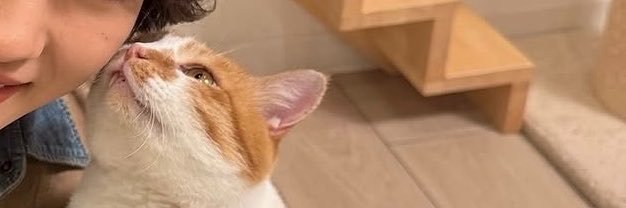 _rirmyi's profile banner image