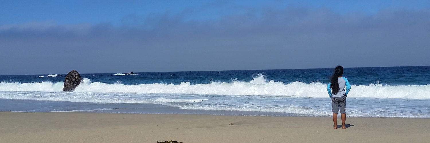 always_tiff's profile banner image