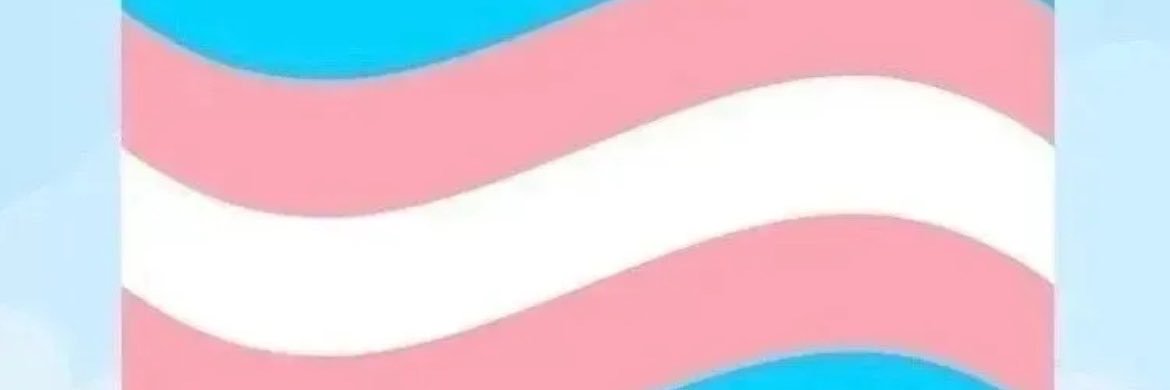 transpradise's profile banner image