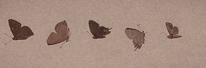 Naomith_'s profile banner image