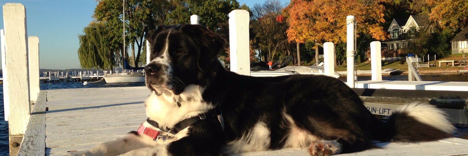 Aisle 424 Has Fallen banner