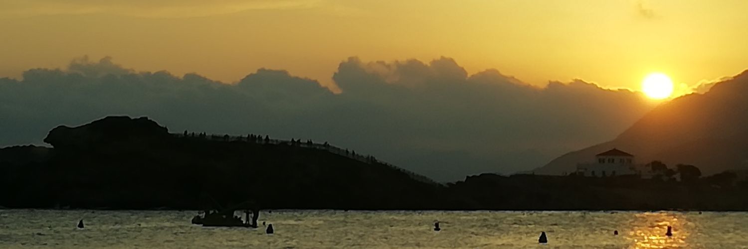 Fernando Aleman banner