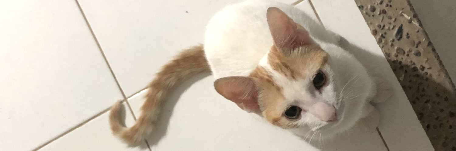 HAPPINESSBE6INS's profile banner image