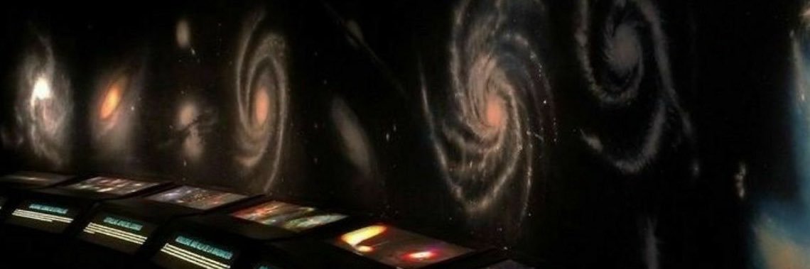 tamdlz's profile banner image