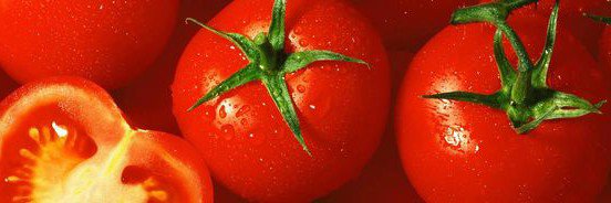 Tomato Slop 🔞 banner
