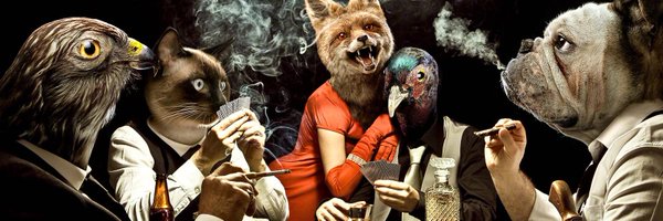 sandergusinow Profile Banner