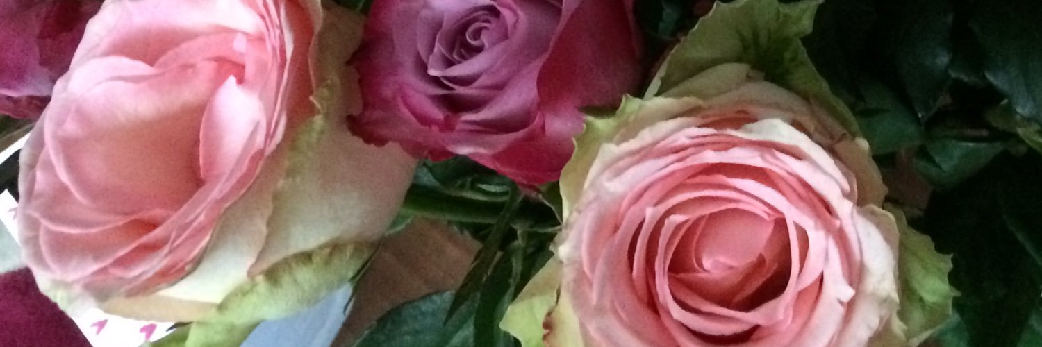 Vicaris66's profile banner image
