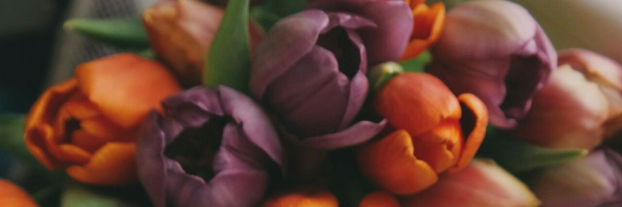 martichavezs's profile banner image