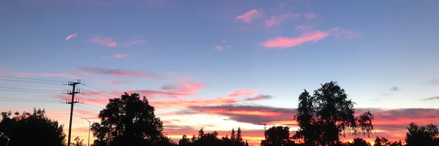 newmarkman's profile banner image