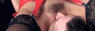 WonderingMikeNL's profile banner image