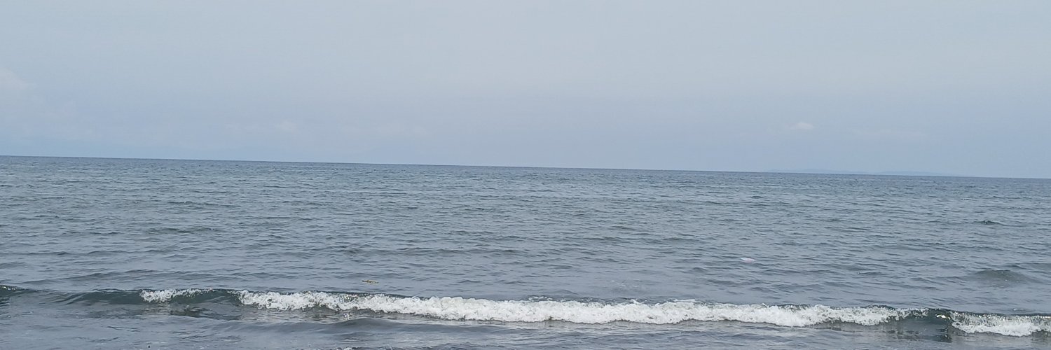 missddeonu_'s profile banner image