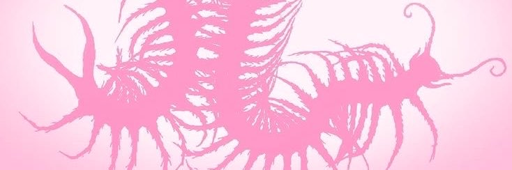 🐓 SWORDIE / SUBSPACE banner