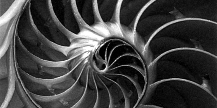 beyalcin's profile banner image