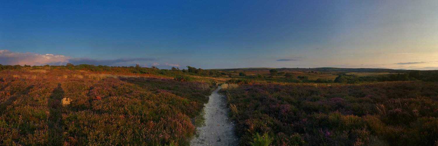 Freddie Harrison banner