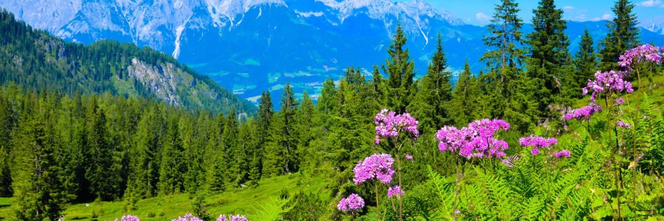 kavind92's profile banner image