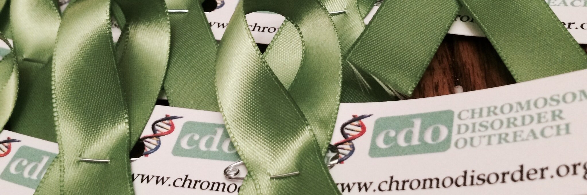 Chromosome Disorder Outreach Inc. (CDO) Charity banner
