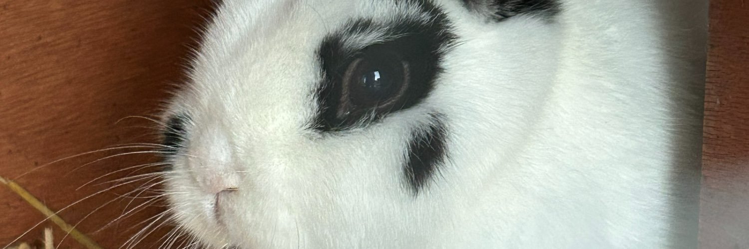 Fibbit444's profile banner image
