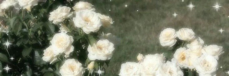 pert_lieth's profile banner image