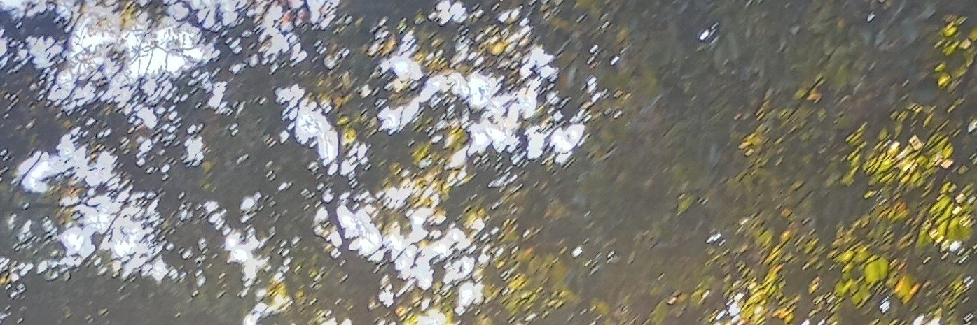 hma00122's profile banner image