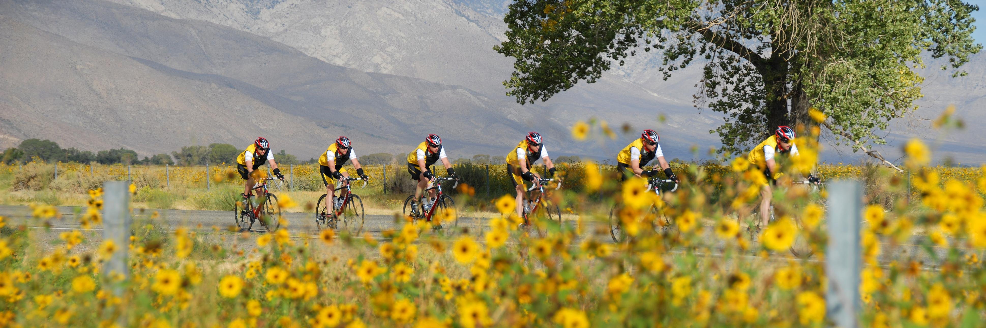 Calibiker09's profile banner image