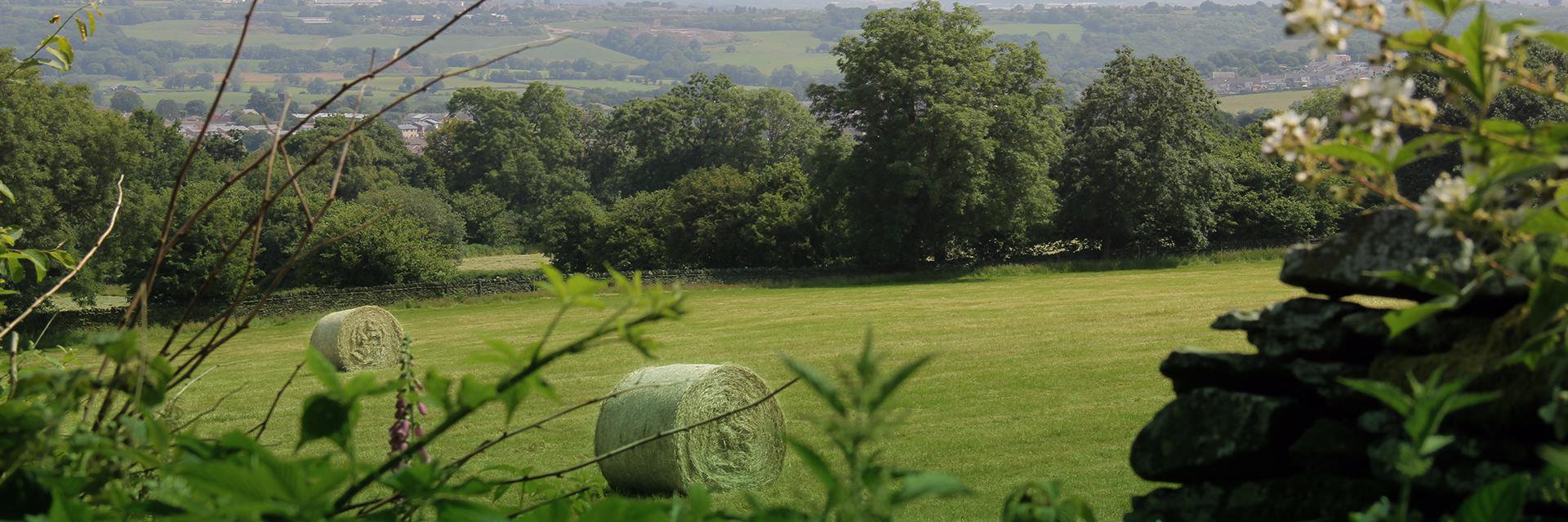 Llechwen Hall Hotel banner