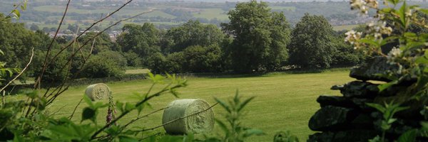 LlechwenHall Profile Banner