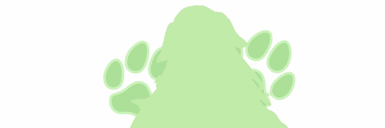 428no8's profile banner image