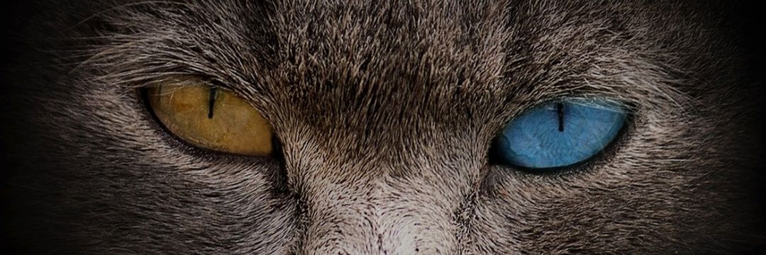 omer10_5's profile banner image