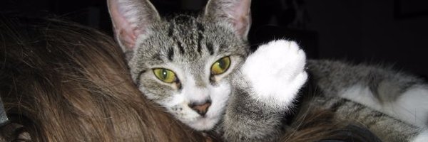 calliope Profile Banner