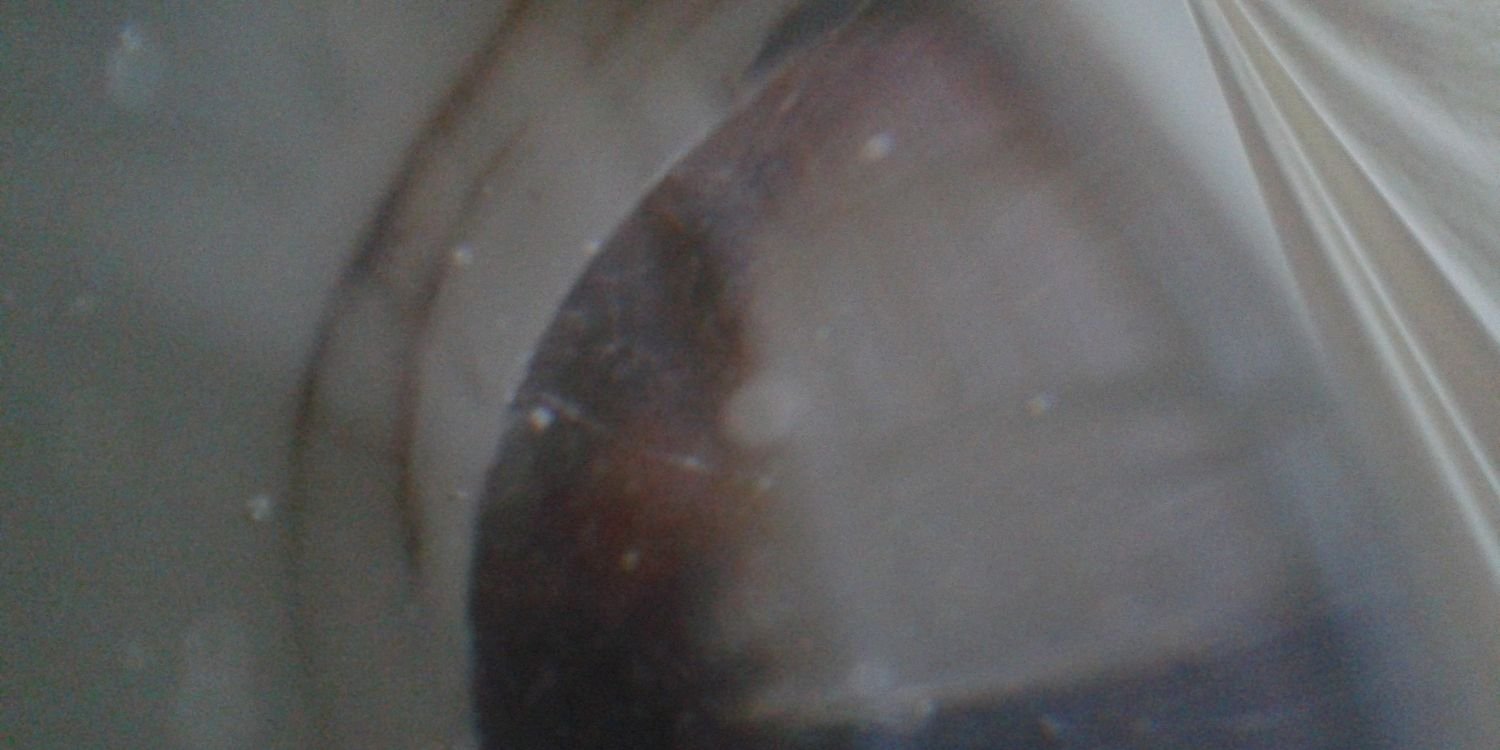 dawnelangford's profile banner image