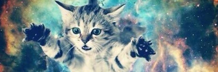 cutiepiezzo's profile banner image
