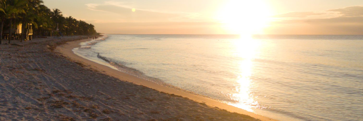 markos_nava's profile banner image