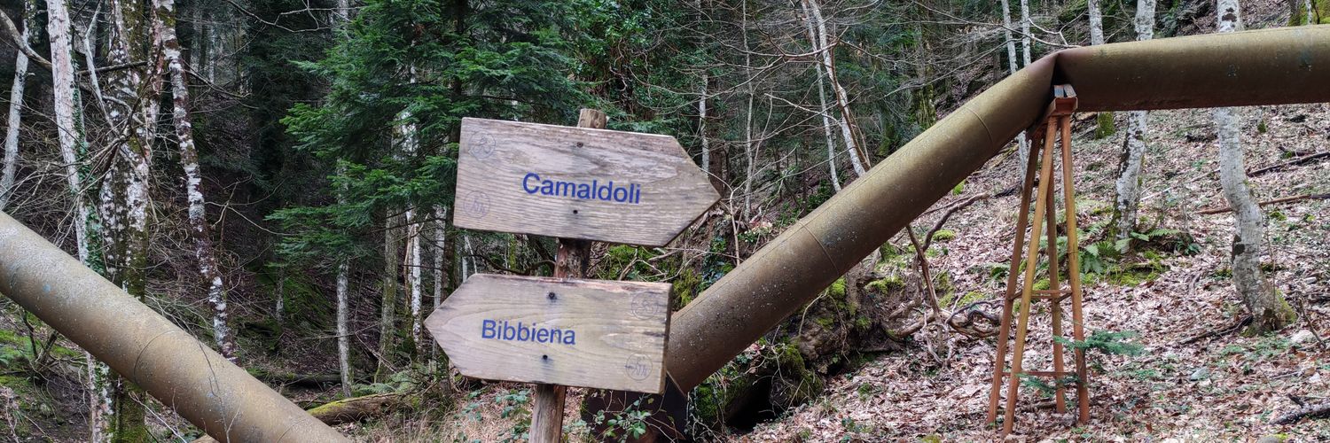 Elisa Zanetti 🌲🌍🚀🌌 banner