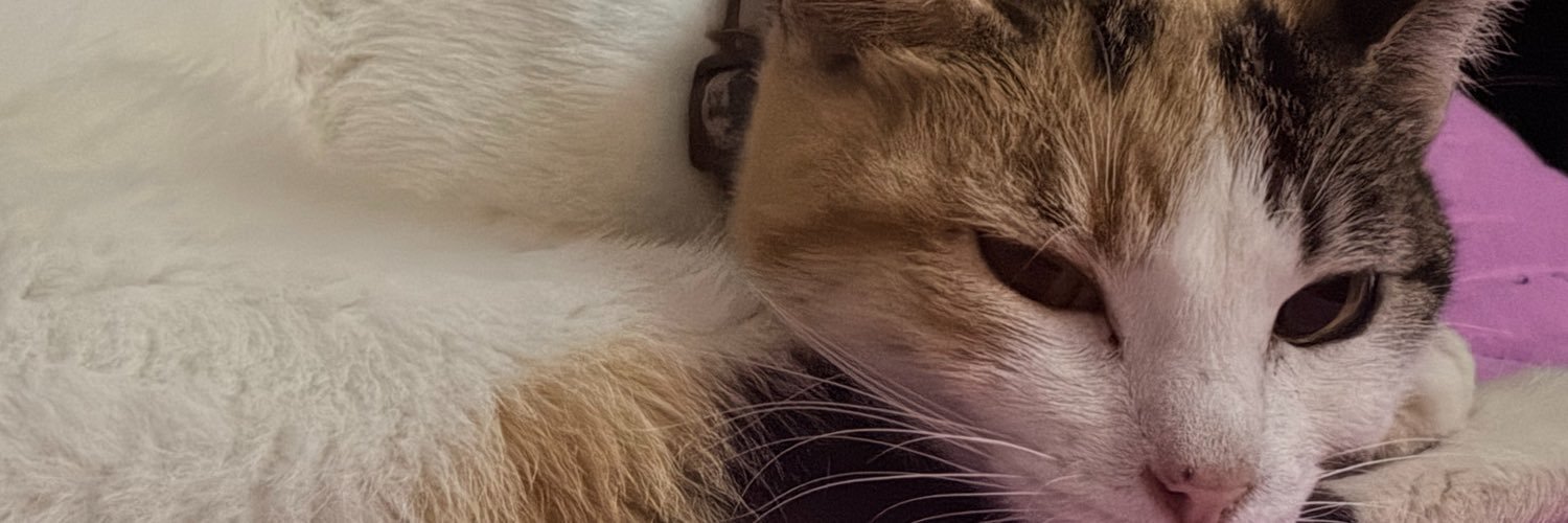 YayaJSlva's profile banner image